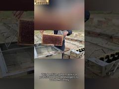 Suporte para tanque de mel de prateleira de estrutura de colmeia