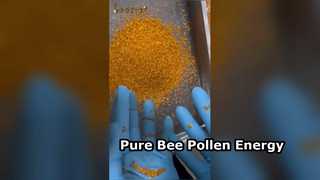 Impulsionador de energia natural de pólen de abelha puro