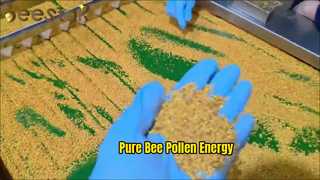 Aumento de energia natural de pólen de abelha puro