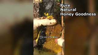 Por que Black Honey é o superalimento definitivo para sua despensa