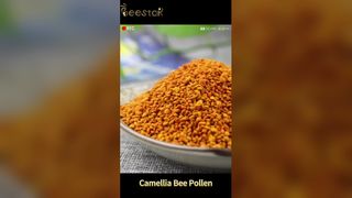 Pólen de abelha cru orgânico, energia natural e bem-estar