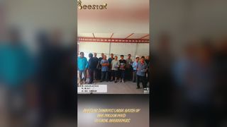 Grânulos de pólen de abelha cru puro, superalimento de qualidade premium