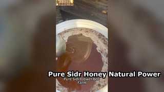 Aumento de energia natural com mel puro Sidr