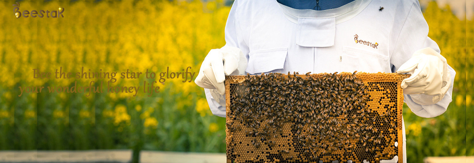 qualidade Cera de abelha natural pura fábrica