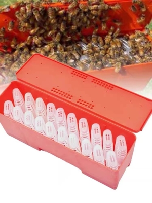 comprar Gaiola plástica vermelha da abelha de rainha para a abelha de rainha que eleva a gaiola da rainha da apicultura do sistema fabricação em linha