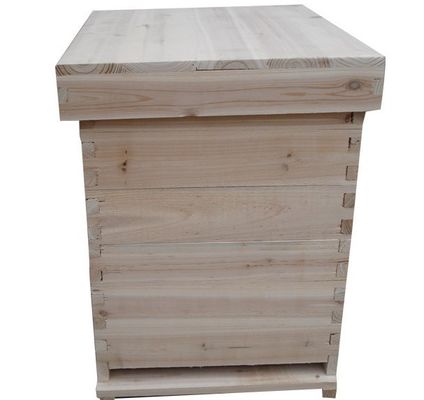 comprar A abelha de madeira do abeto chinês de alta qualidade acumula fácil montar a colmeia natural de Dadant do material fabricação em linha