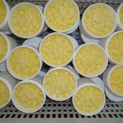 comprar Geleia Real Fresca Orgânica 10-HDA 1,8% 100% Pura fabricação em linha