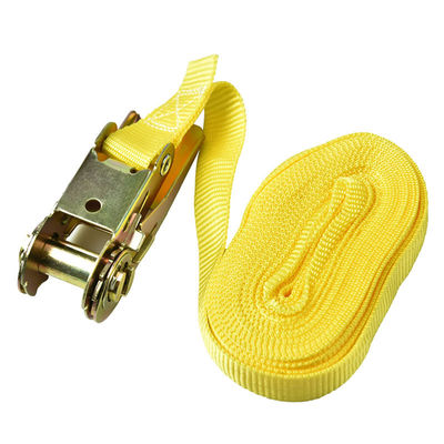 comprar Metal Beehive Lashing Strap 5M Length 2.5cm Width for Bee Frames and Beekeeping Hobbyist fabricação em linha