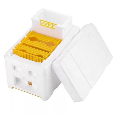 comprar Elevação de acoplamento da rainha da apicultura da caixa da criação de animais do único equipamento da colmeia da abelha da espuma da camada fabricação em linha