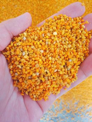 comprar Pólen de Abelha Cru Fresco Misto Cheio de Nutricion Big Granual fabricação em linha