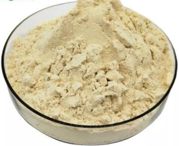 comprar Jelly Lyophilized Powder real fresca orgânica pura 5,5% 10-HDA Honey Bee Products fabricação em linha