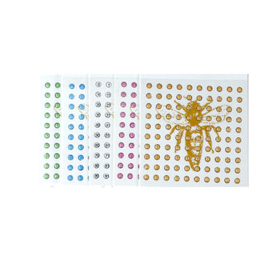 comprar A apicultura de Apicultura utiliza ferramentas o marcador da abelha de rainha do polímero para a criação de animais da abelha de rainha fabricação em linha