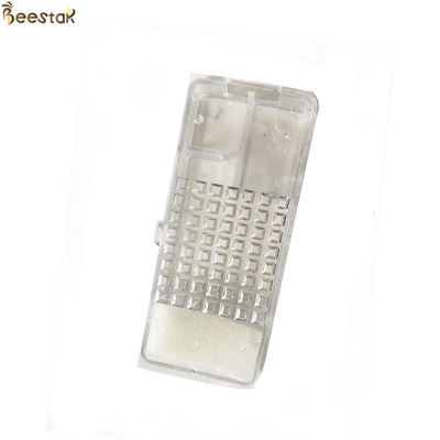 comprar Gaiola clara transparente da abelha de rainha com a gaiola da introdução da rainha da espuma para a apicultura fabricação em linha