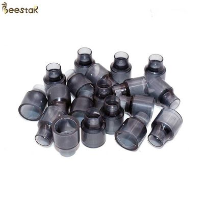 comprar Copos plásticos da pilha da abelha de rainha da apicultura por atacado das ferramentas da apicultura para a apicultura fabricação em linha