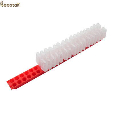 comprar A rainha conveniente do equipamento da apicultura não prende nenhuma necessidade de transferir larvas da abelha fabricação em linha