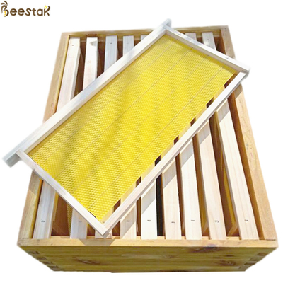 comprar Classifique uma cera da colmeia da fundação da cera de abelha molda a base cobre folhas da cera de abelha do pente da abelha fabricação em linha