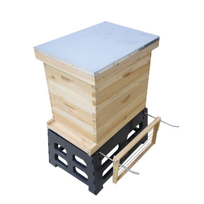 Suporte da colmeia da abelha do quadro do quadro 10 da apicultura 8
