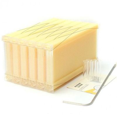 Estrutura de fluxo de mel de plástico de qualidade alimentar 49,5 * 24,5 cm para mel autofluido em colmeia de fluxo