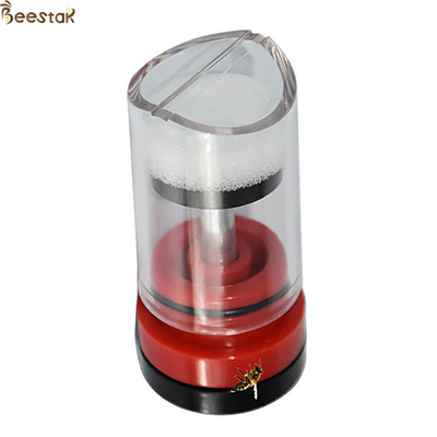 Marcador Mark Plastic Box Queen Rearing transparente vermelho da abelha de rainha